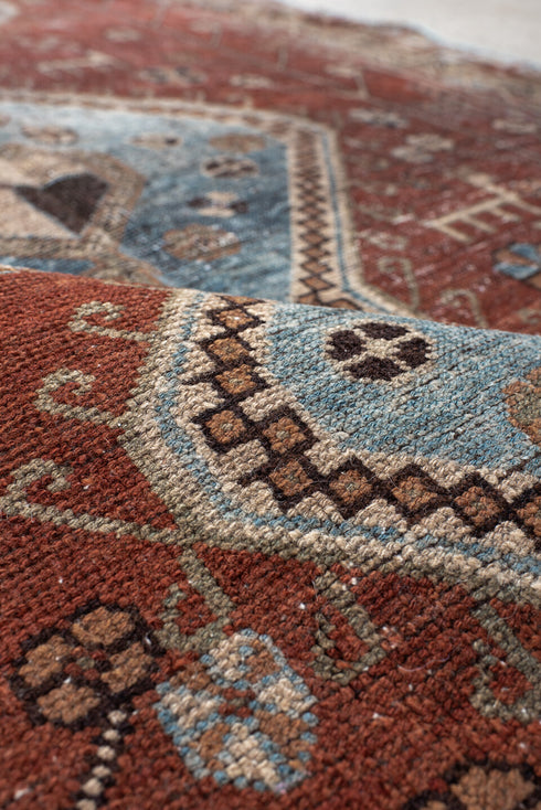 Vintage Shiraz Area Rug (4' x 6')
